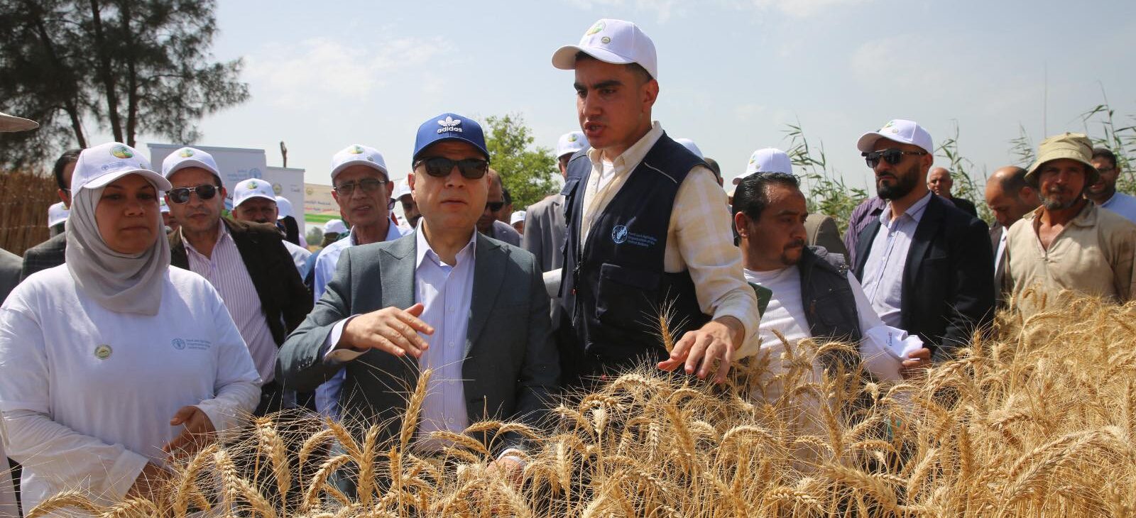 محافظ كفرالشيخ يتفقد مدرسة «القمح» الحقلية بشباس الملح وسط زغاريد وفرحة الأهالي بنجاح التجربة.. مشيداً بالتعاون مع منظمة الأغذية والزراعة للأمم المتحدة«FAO»  