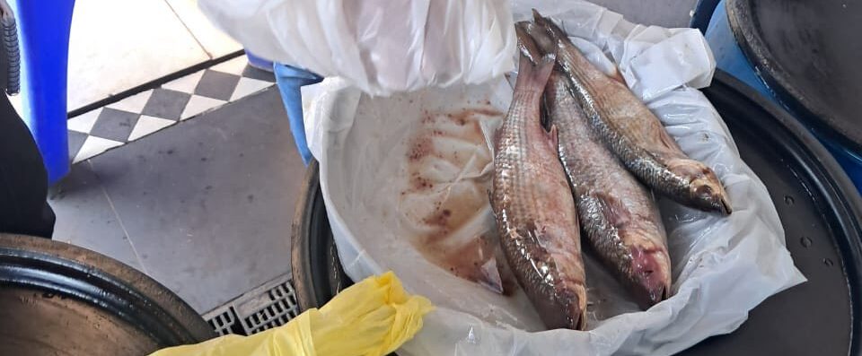 محافظ كفرالشيخ: ضبط 300 كجم من الأسماك غير المطابقة للاشتراطات الصحية.. خلال الحملات الرقابية على الأسواق  