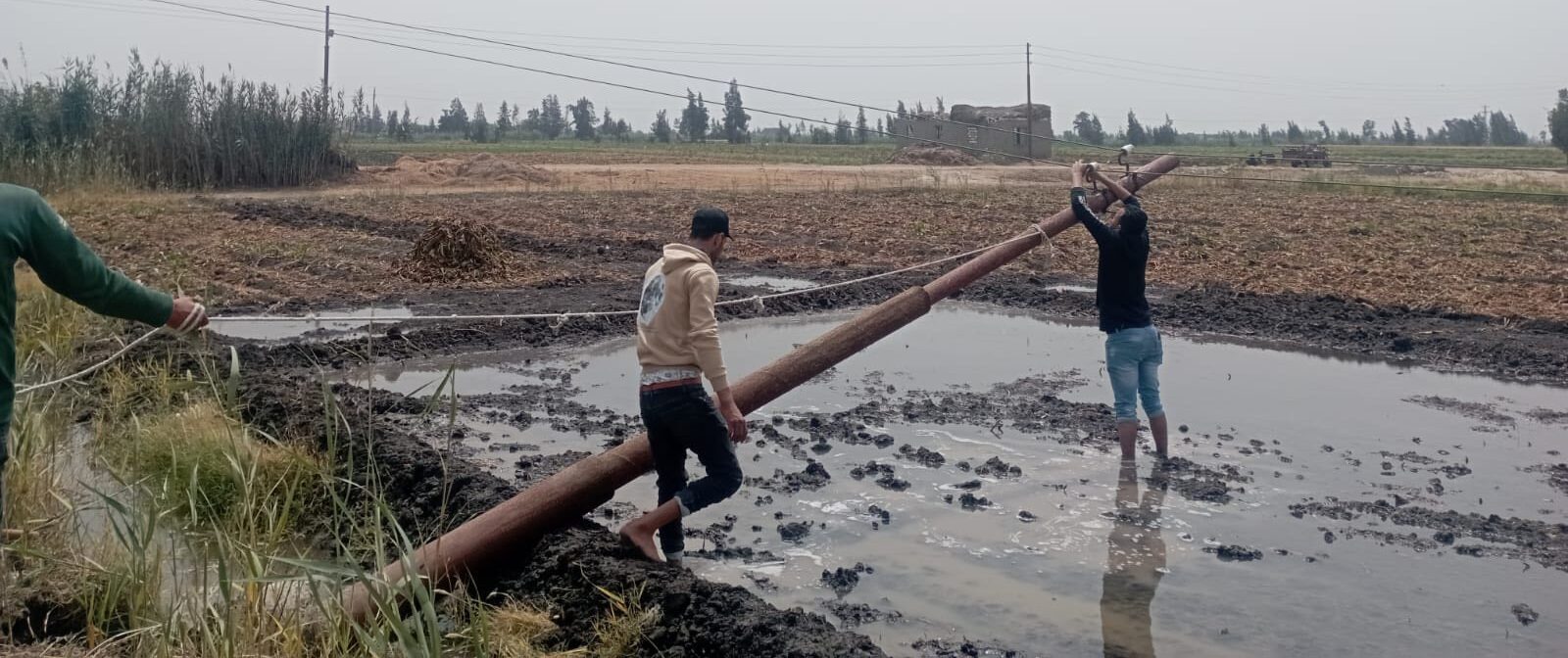 في استجابة فورية.. محافظ كفرالشيخ يوجّه بسرعة التعامل مع خطر أعمدة الكهرباء بترعة الصفتاوي بقرية الحلافي  