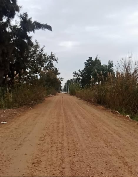 محافظ كفرالشيخ: بدء رصف طريق "السعادة  الروضة" بمطوبس ضمن مشروعات المبادرة الرئاسية “حياة كريمة”  