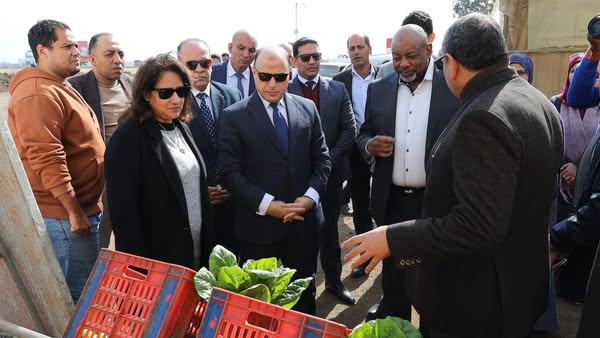 محافظ كفرالشيخ ووزير الزراعة النيجيري يتفقدان البرنامج الوطني لإنتاج تقاوي الخضر بالبحوث الزراعية بـ"سخا"  