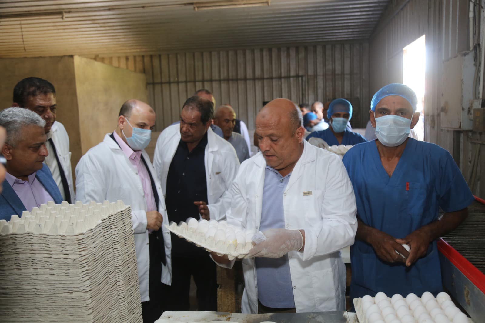 محافظ كفرالشيخ يتفقد ‏محطة الوفاء لإنتاج البيض بعاصمة المحافظة .. تنتج 15 مليون بيضة سنويًا  