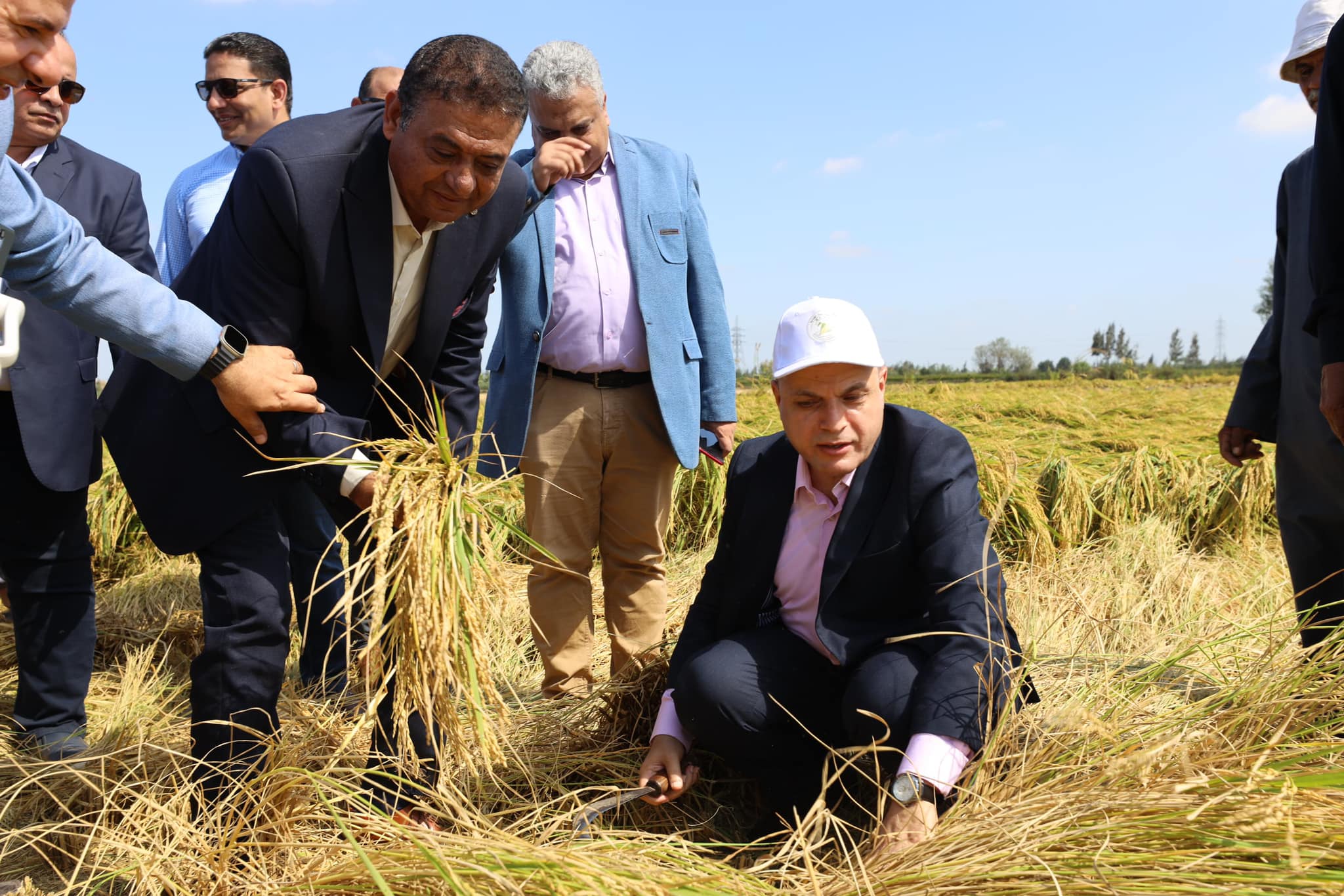 محافظ كفرالشيخ يشهد افتتاح موسم حصاد الأرز بمزرعة ميت علوان .. وسط المزارعين ويهنئهم بمناسبة عيد الفلاح الـ 72  