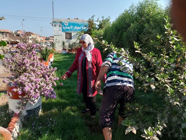محافظ كفرالشيخ: استمرار زراعة الأشجار بالحامول ضمن المبادرة الرئاسية «100 مليون شجرة» .. مكلفًا برفع كفاءة مشاتل إنتاج الأشجار  