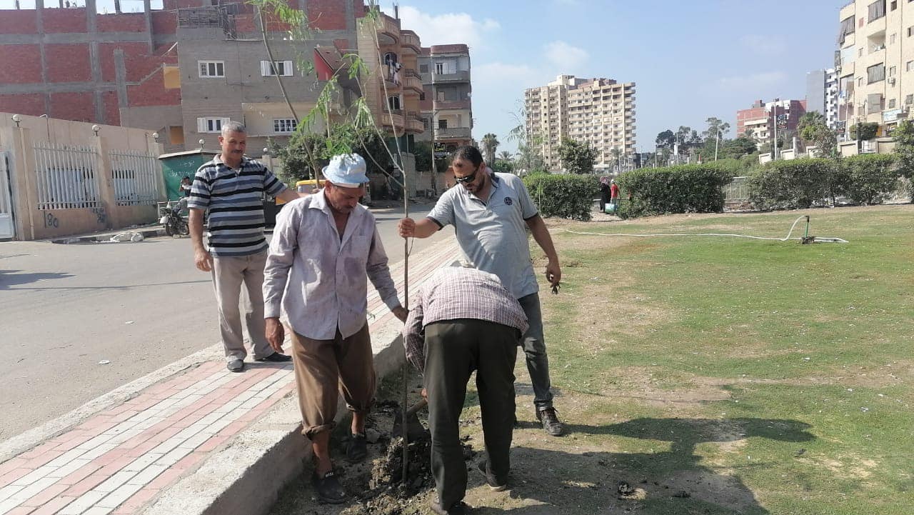 محافظ كفرالشيخ يتابع جهود زراعة الأشجار بقلين ضمن المبادرة الرئاسية "100 مليون شجرة"  