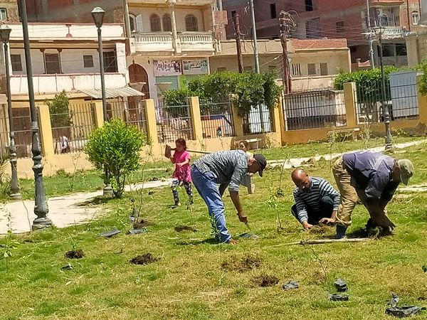 محافظ كفرالشيخ: استمرار زراعة الأشجار بسيدي غازي ضمن المبادرة الرئاسية «100 مليون شجرة» .. تسهم في خفض الإحتباس الحراري وتحقق الاستدامة البيئية  