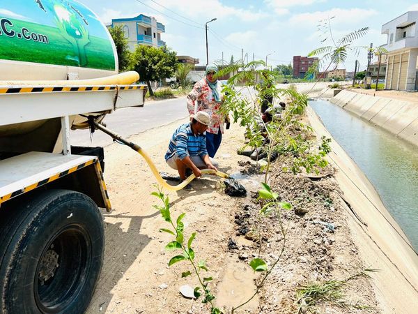 محافظ كفرالشيخ يتابع جهود زراعة الأشجار بالرياض ضمن المبادرة الرئاسية "100 مليون شجرة"  