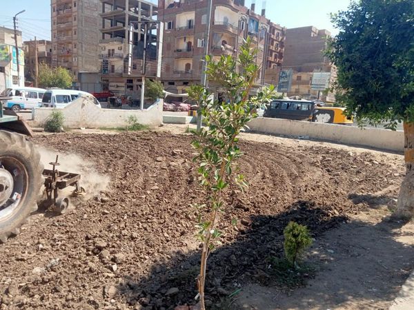 محافظ كفرالشيخ يأمر بالتوسع في زراعة المسطحات الخضراء.. متنزهات جديدة بفوه ضمن المبادرة الرئاسية "100 مليون شجرة"  