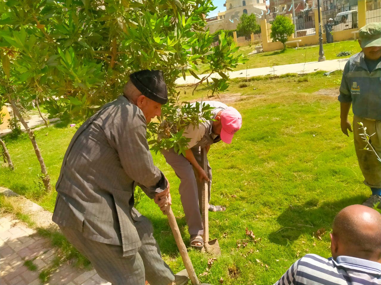 محافظ كفرالشيخ يتابع جهود زراعة الأشجار بسيدي غازي ضمن المبادرة الرئاسية "100 مليون شجرة"  