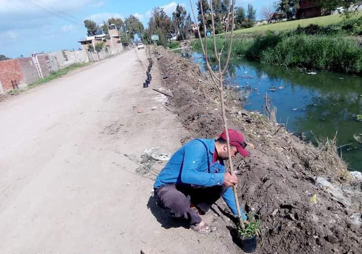 محافظ كفرالشيخ يتابع جهود زراعة الأشجار بسيدي سالم ضمن المبادرة الرئاسية "100 مليون شجرة"  