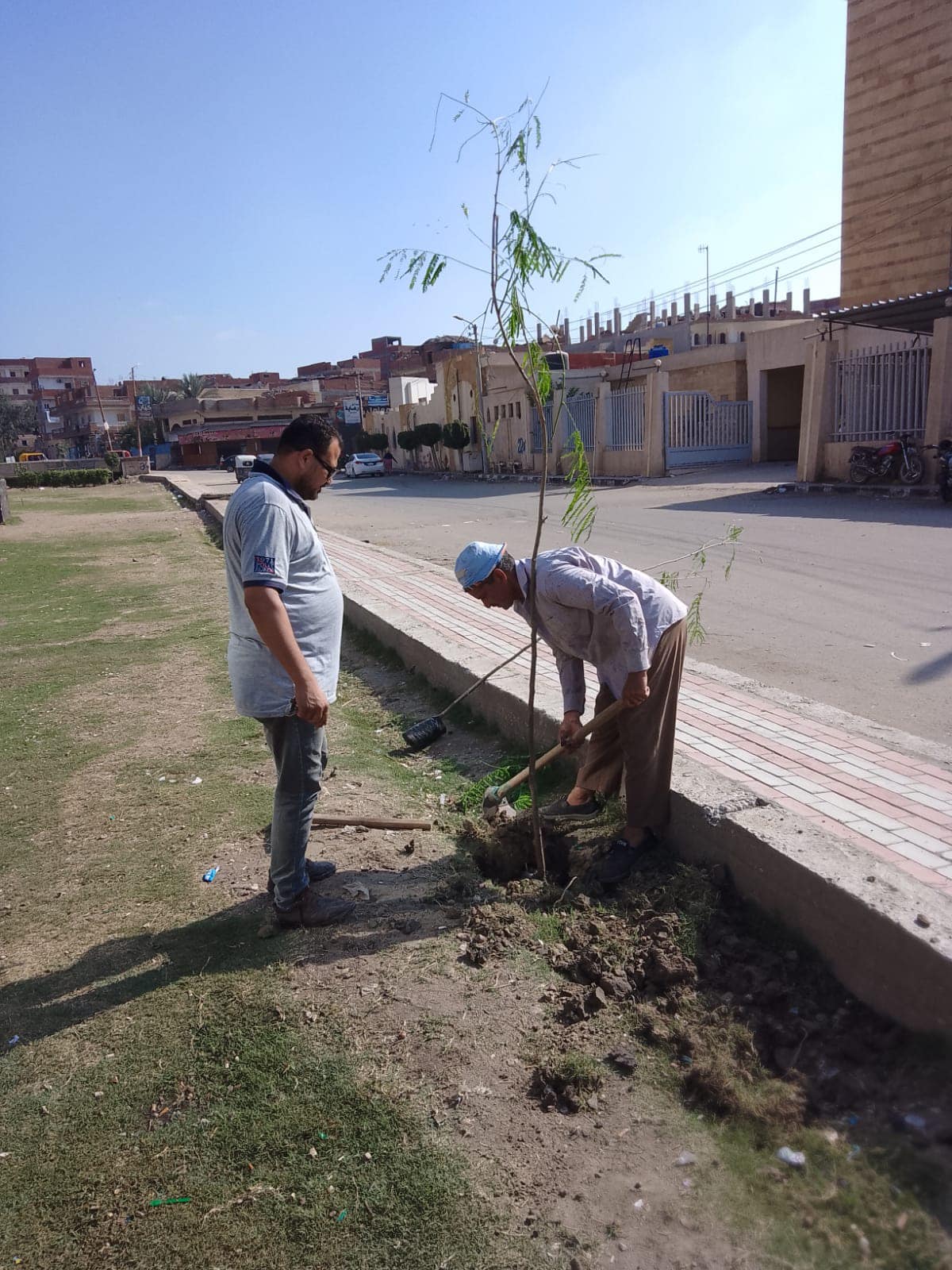 محافظ كفرالشيخ يتابع جهود زراعة الأشجار بقلين ضمن المبادرة الرئاسية "100 مليون شجرة"  