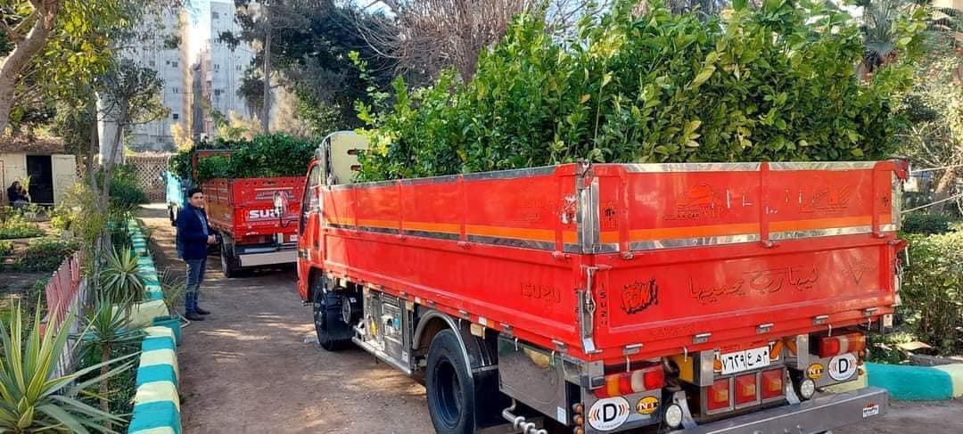 محافظ كفرالشيخ: انتهينا من زراعة 329 ألف شجرة على مستوى المحافظة ضمن المبادرة الرئاسية «100 مليون شجرة»  