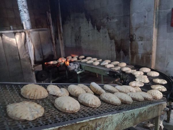 محافظ كفرالشيخ: تحرير 9 محاضر لمخالفات تموينية بقلين  