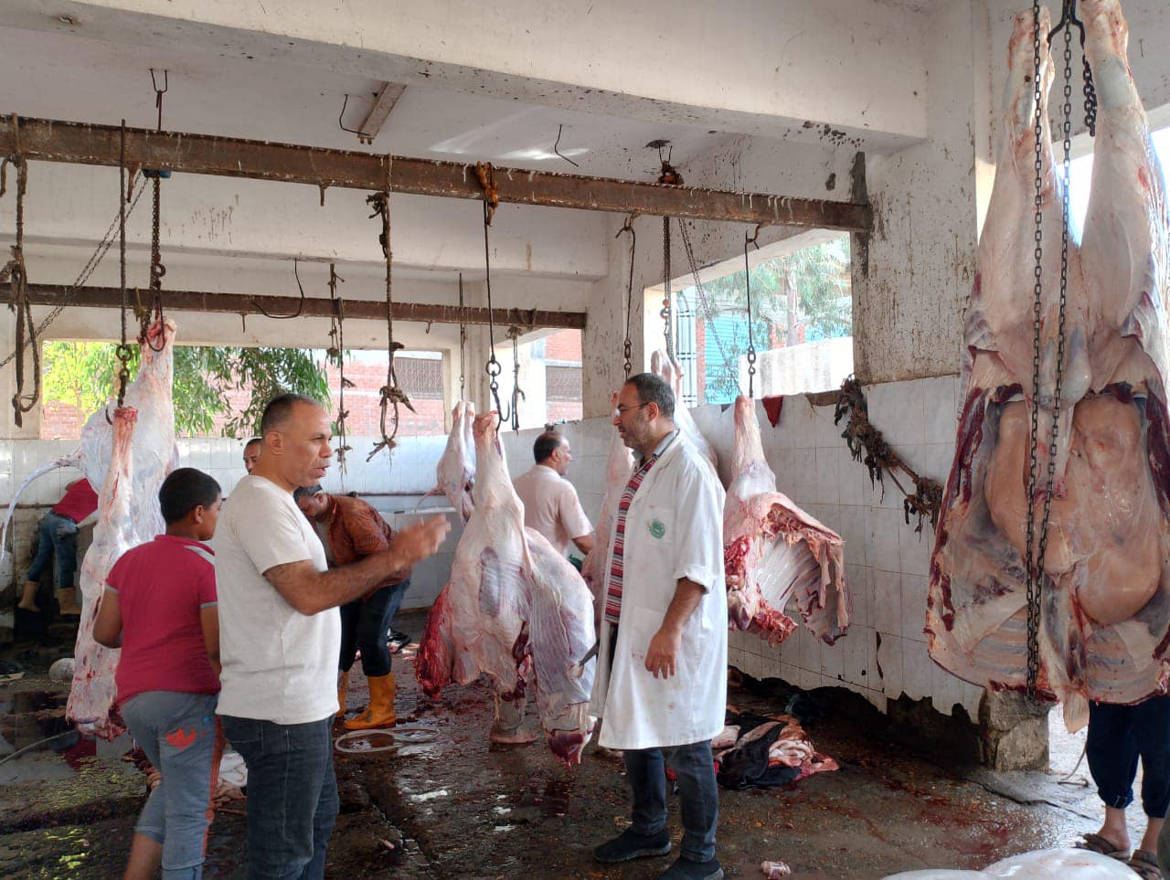 ‏محافظ كفرالشيخ يتابع إستعدادات المجازر لذبح الأضاحى للمواطنين «بالمجان» خلال أيام عيد الأضحى المبارك  