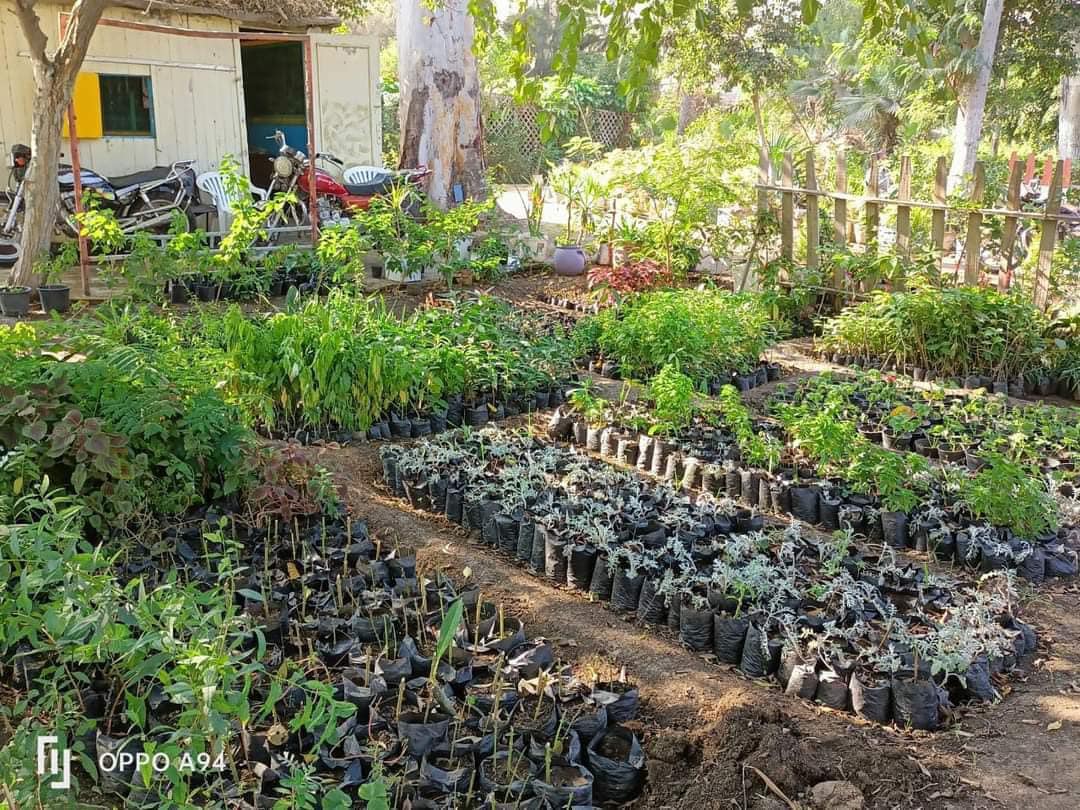 محافظ كفرالشيخ: انتهينا من زراعة 327 ألف شجرة على مستوى المحافظة ضمن المبادرة الرئاسية «100 مليون شجرة» .. وتجميل الحدائق والمتنزهات العامة.. للمساهمة في خفض الإحتباس الحرارى وتحقيق الاستدامة البيئية  