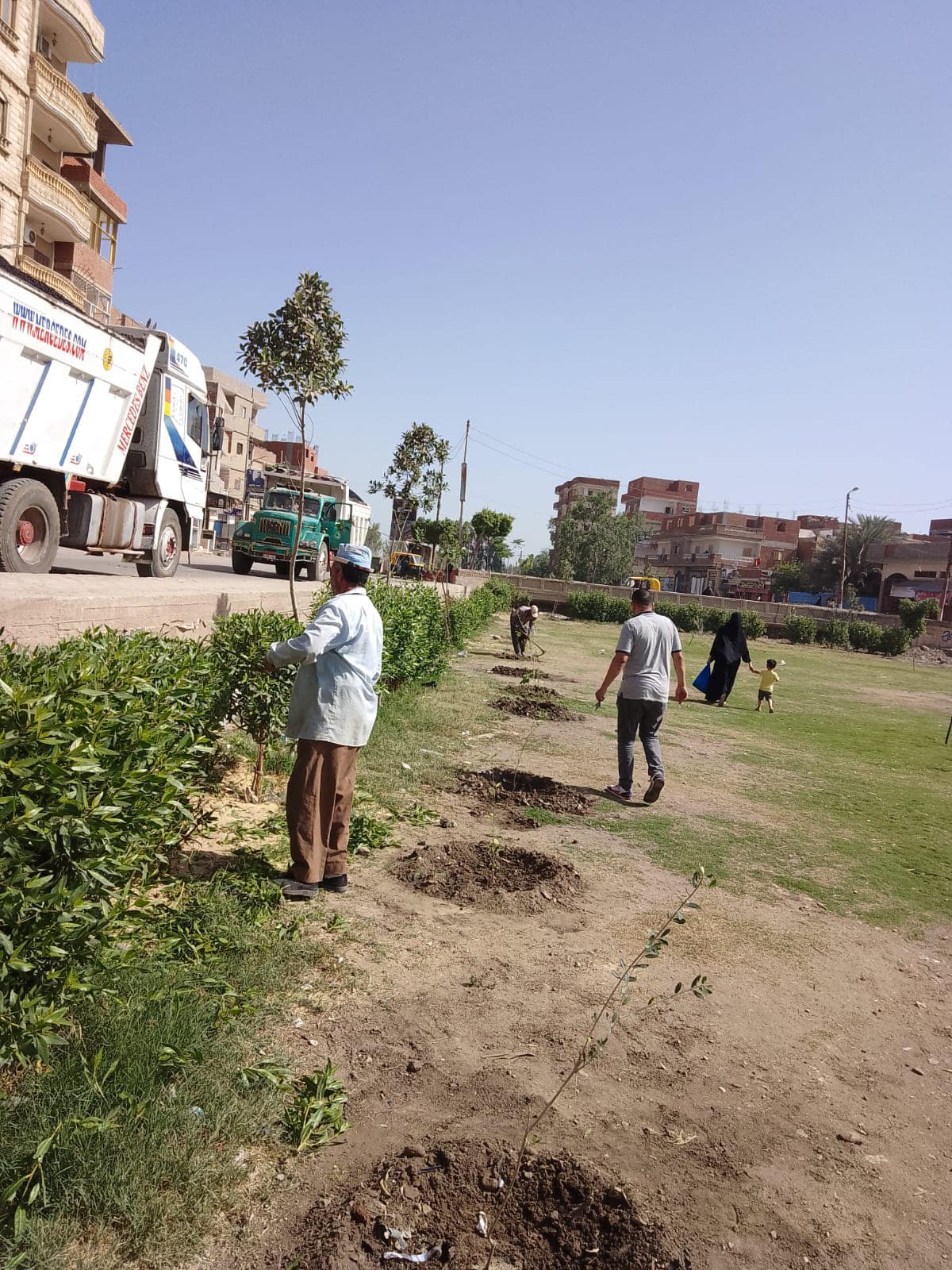 محافظ كفرالشيخ: إستمرار زراعة الأشجار بقلين ضمن المبادرة الرئاسية "100 مليون شجرة" .. مكلفًا برفع كفاءة مشاتل إنتاج الأشجار وزيادة المسطحات الخضراء  