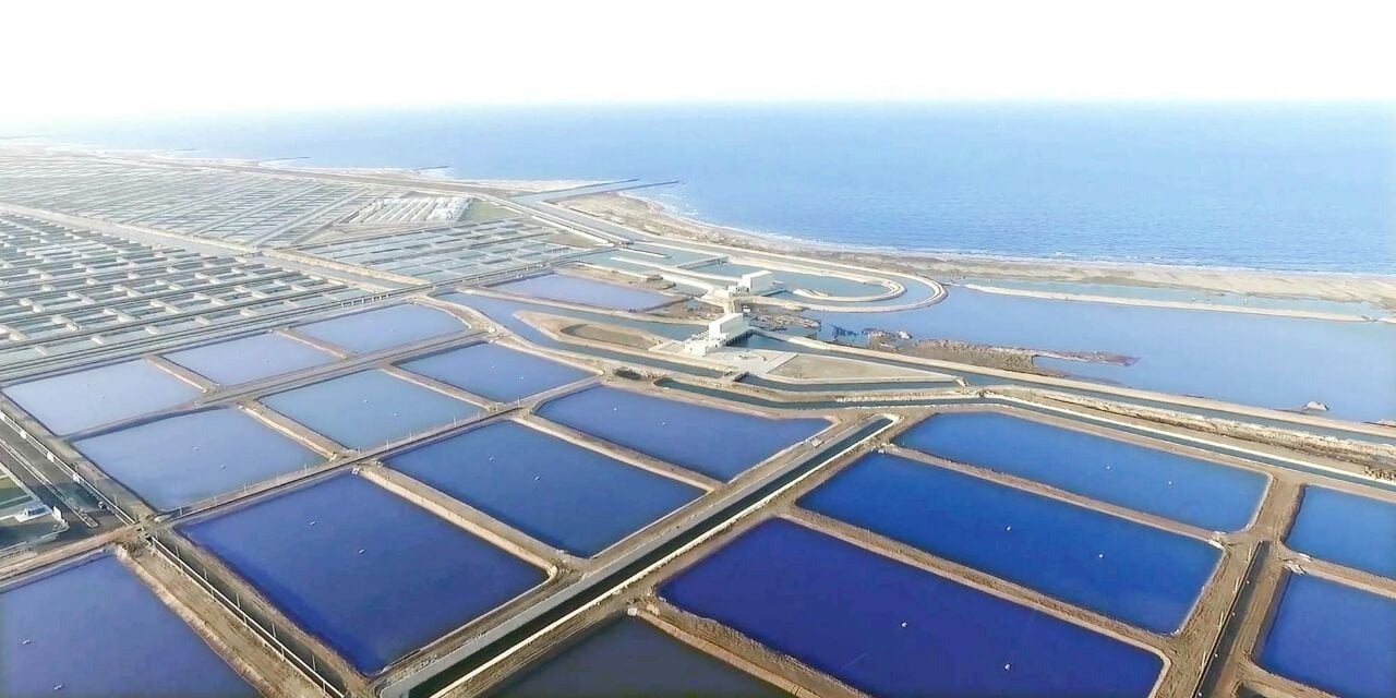 مشروع غليون